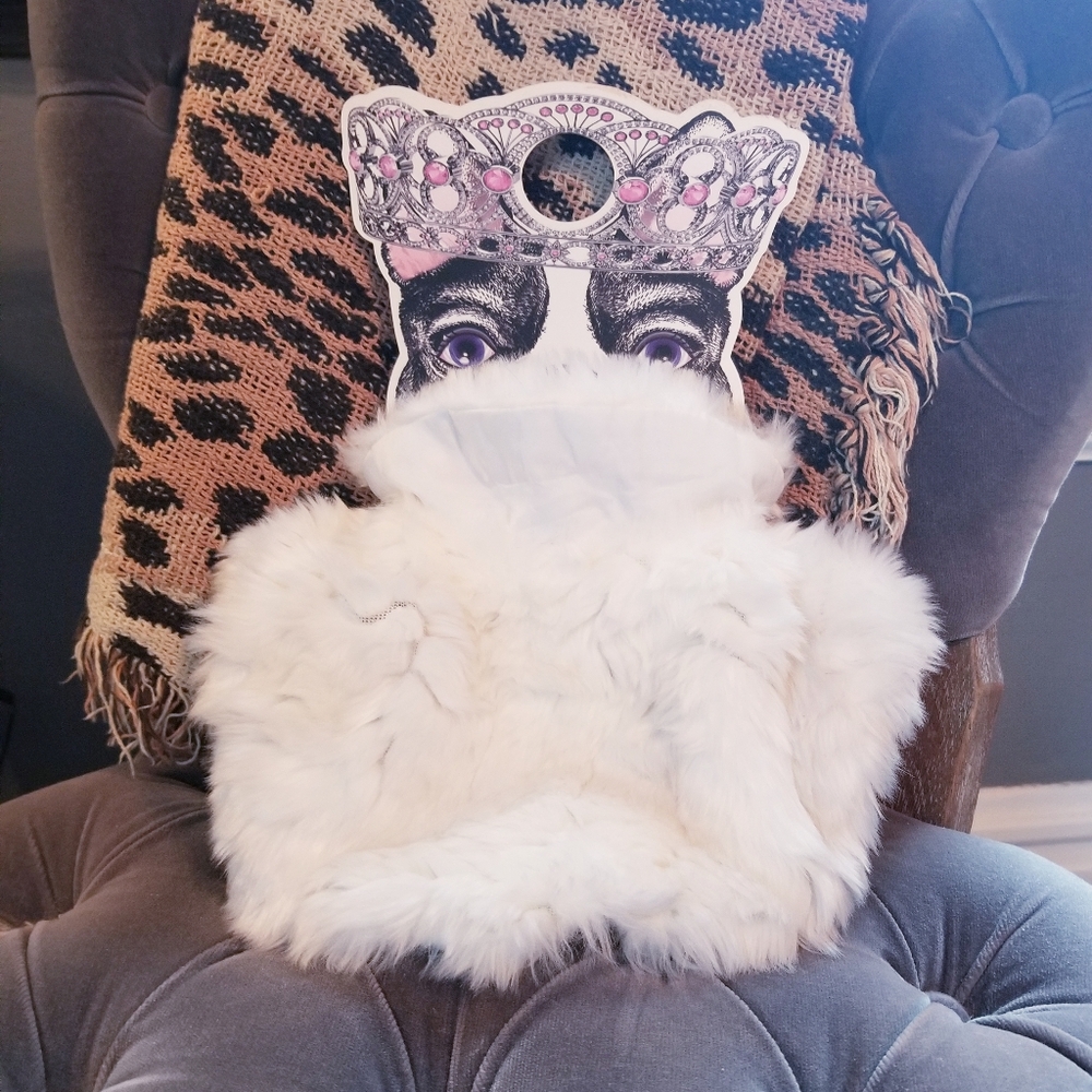 Preloved Eastside Collection pet fur
